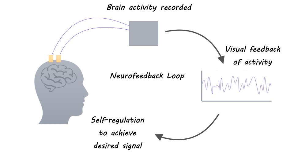 The neurofeedback loop: brain activity is recorded, shown as visual feedback, leading to self-regulation, which feeds back to the brain.