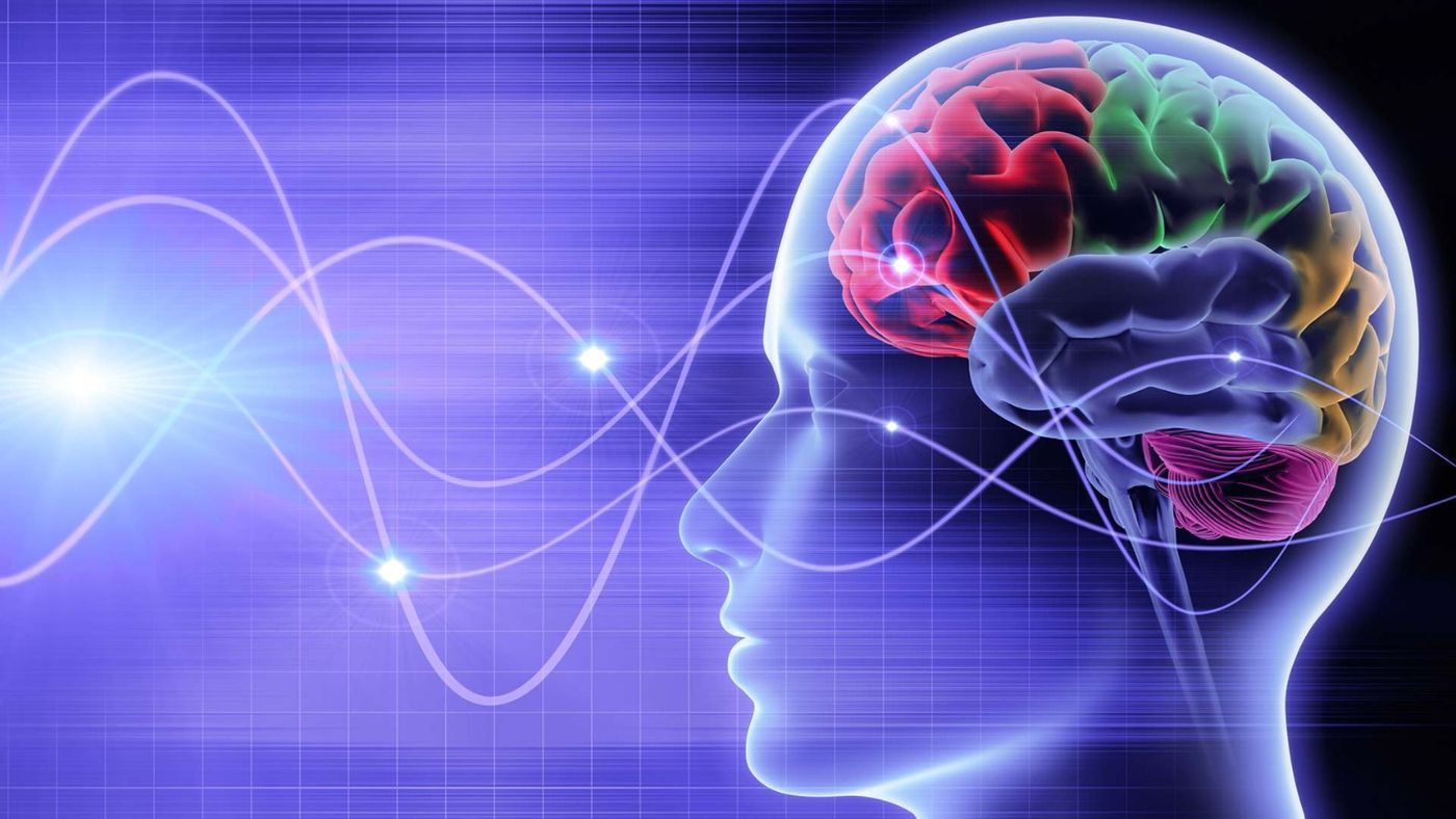 Illustration of a human head in profile with a brain and brainwaves